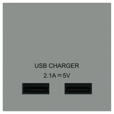 BG EMUSBG Dual 2.1A USB Module In Grey (50 X 50) - BG - sparks-warehouse