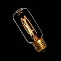 Casell TUB60ESLDEC-CA 240v 60w E27 T38X110mm Decorative Filament