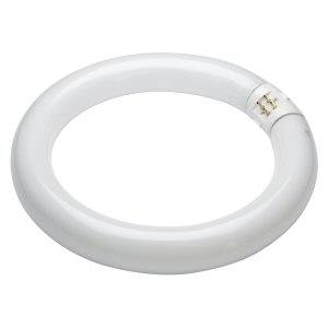 22w T9 216mm Coolwhite Circular Fluorescent Tube. Fluorescent Tubes Sylvania - Sparks Warehouse