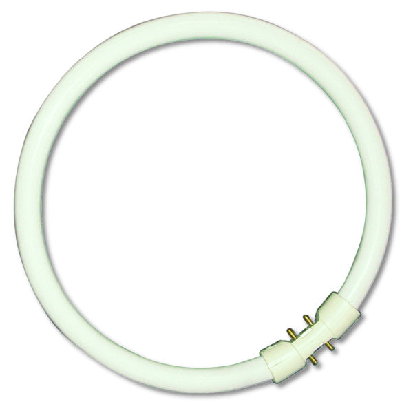 Bell 05460 22W T5 Circular Tube - 2GX13, 4000K 1900lm 2GX13