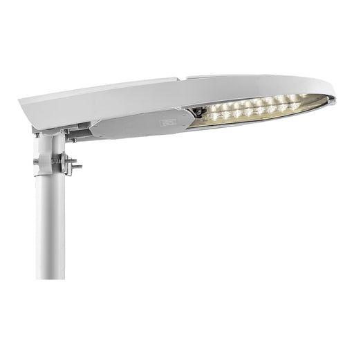 Bailey 142116 - DEFA121096 Elite large Asymmetrical 142W 4000K Bailey Bailey - The Lamp Company