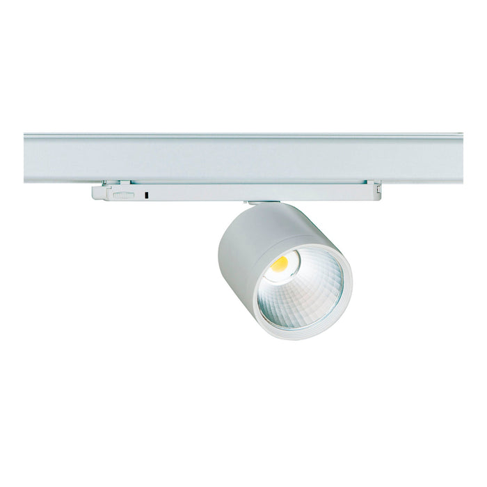 Bailey 142126 - Lival GA-016 Standard 34W/930 30D Flood Silver Bailey Bailey - The Lamp Company