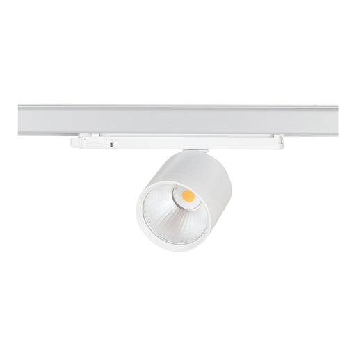 Bailey 142127 - Lival GA-016 Standard 34W/930 30D Flood White Bailey Bailey - The Lamp Company