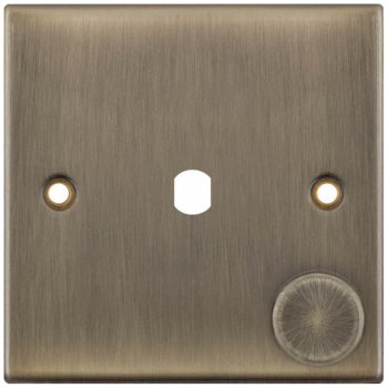 Selectric 5M Antique Brass 1 Gang Single Aperture Dimmer Plate with Matching Knob