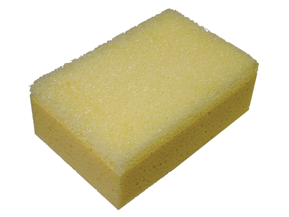 FAITLSPONGEH