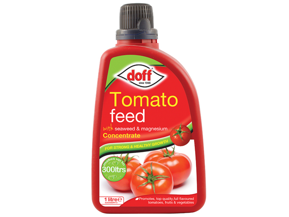 DOFJGA00DOF