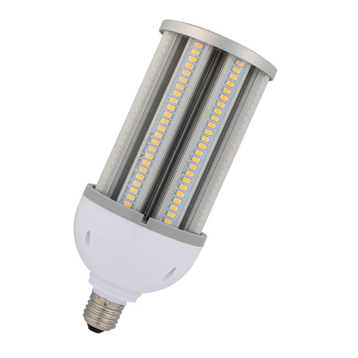 Bailey - 80100036294 - LED Corn HOL E27 36W 5100lm 6500K Light Bulbs Bailey - The Lamp Company