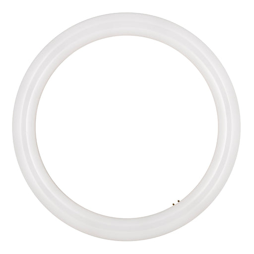 Bailey - 80100040821 - LED Ecobasic Circular G10q 16W (32W) 1600lm 840 Light Bulbs Bailey - The Lamp Company