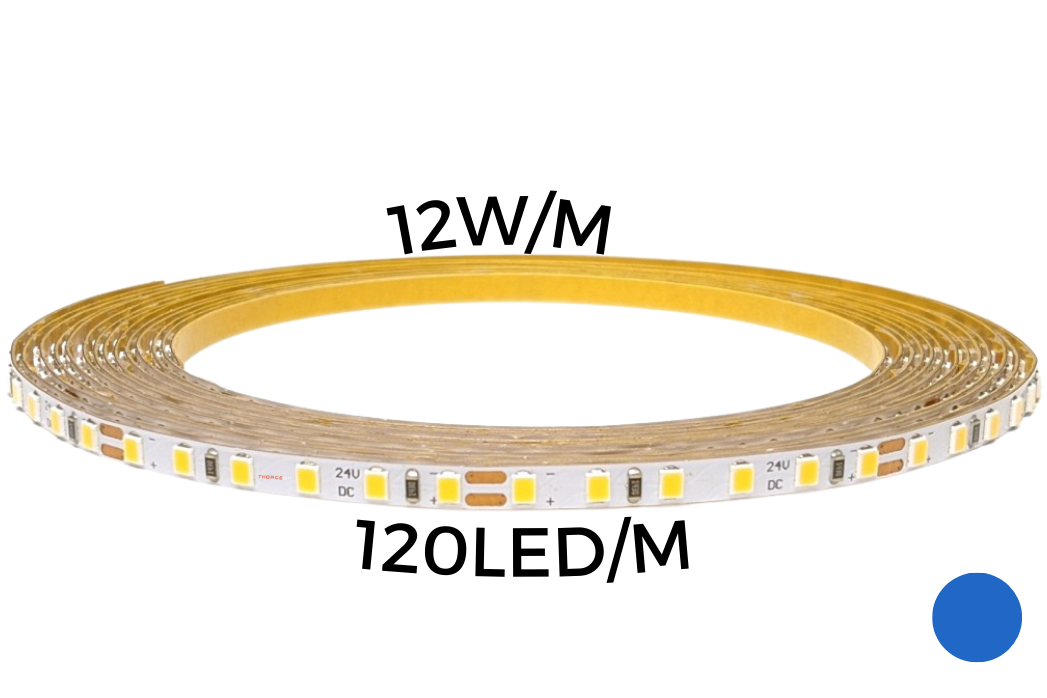 Thorgeon - 16039 LED strip 12W/m 120led/m BLUE IP67 12V 180Lum/m 36'000h CRI>80 (5m)