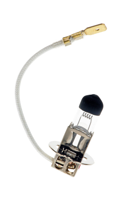 Bailey DTLBT24060BT - H3 24V 60W Black Top Belmont Bailey Bailey - The Lamp Company