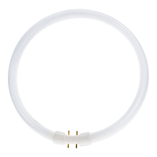 Bailey FC022865T5 - TL Circline 2GX13 16X225 22W/865 Fluorescent Tubes Bailey - The Lamp Company
