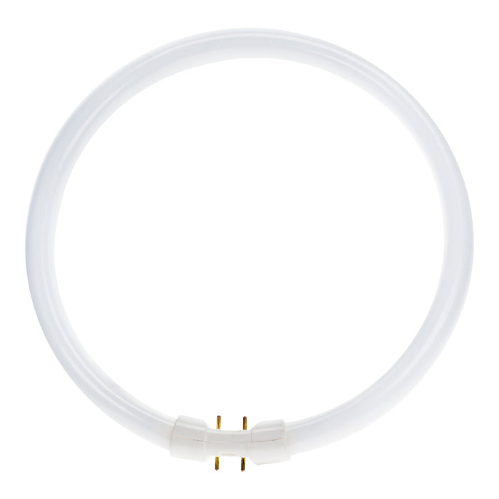Bailey FC022865T5 - TL Circline 2GX13 16X225 22W/865 Fluorescent Tubes Bailey - The Lamp Company
