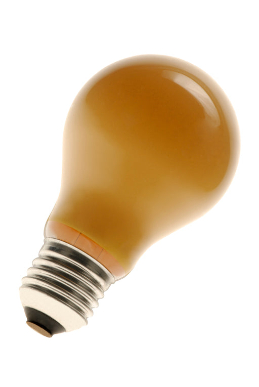 Bailey G27240060AI - Special Insecta E27 230V 60W Bailey Bailey - The Lamp Company