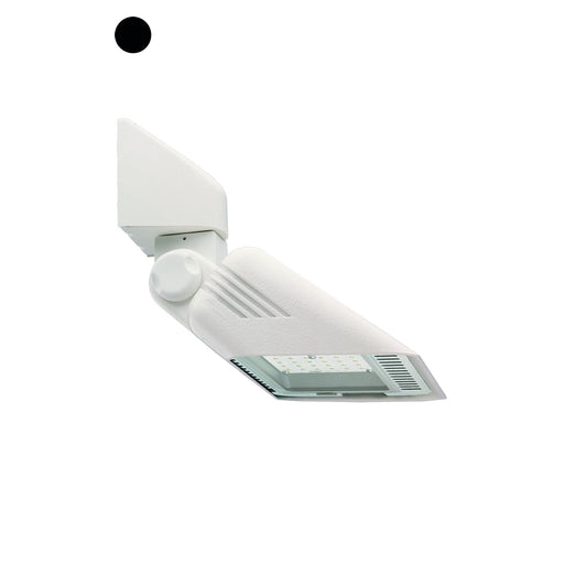 Bailey LEG35905C31 - DAY LED 20 WW L1+L5 Black Bailey Bailey - The Lamp Company