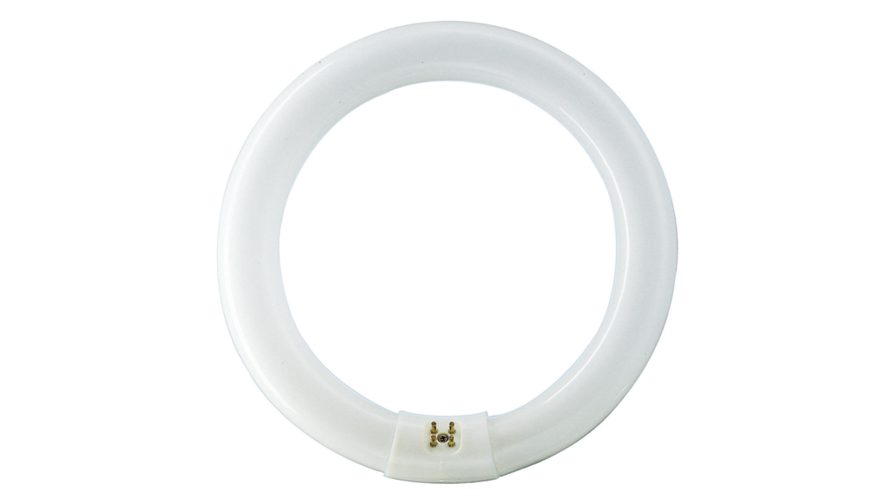 Circular Fluorescent Tube 40w T9 G10q Philips Daylight/865 Light Bulb - 406mm - 6500K - TLE 40W/865