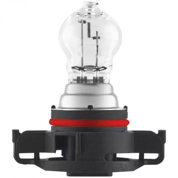 Osram 2504 24W Halogen PG20-1   PSX24W   Halogen Bulb