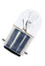 Bailey - TB250060015 - Tube B22d 22X50 60V 15W Clear Light Bulbs Bailey - The Lamp Company