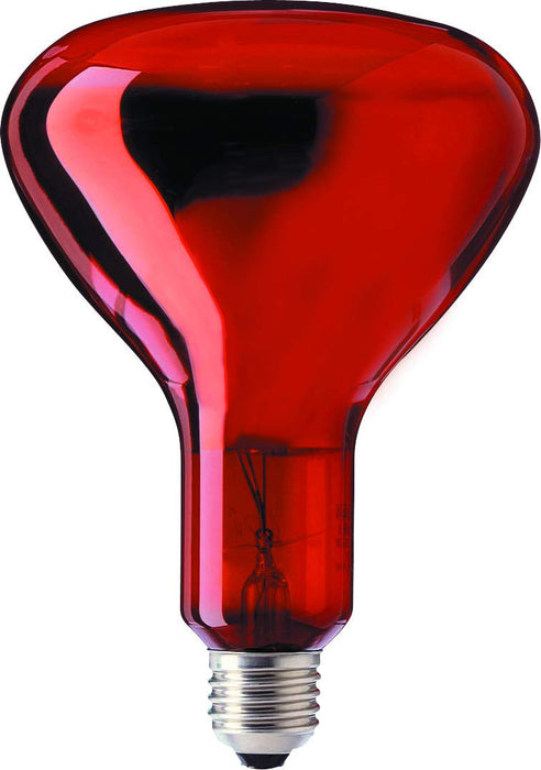 Patron - 05696 Special Standart Lamp 100W E27 R95 RED Infrared Incandescent Industrial Heat