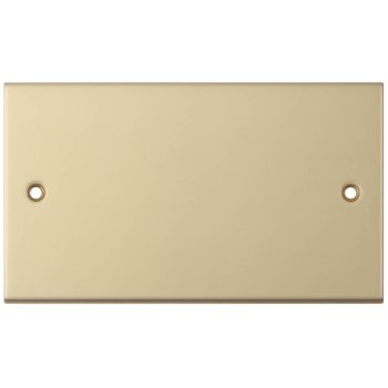 Selectric 5M Satin Brass 2 Gang Blank Plate