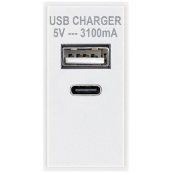 Selectric White USB Type A & USB Type C (3.1A) Module
