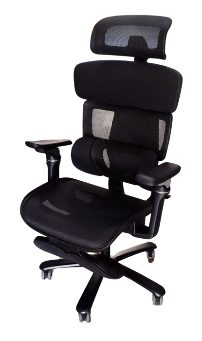 Thorgeon - 21004 Office Chair with head and leg rest Black
