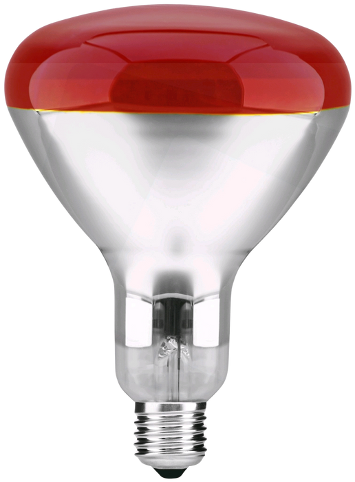 Patron - 05784 Reflector Bulb 250W E27 R120 IR RED