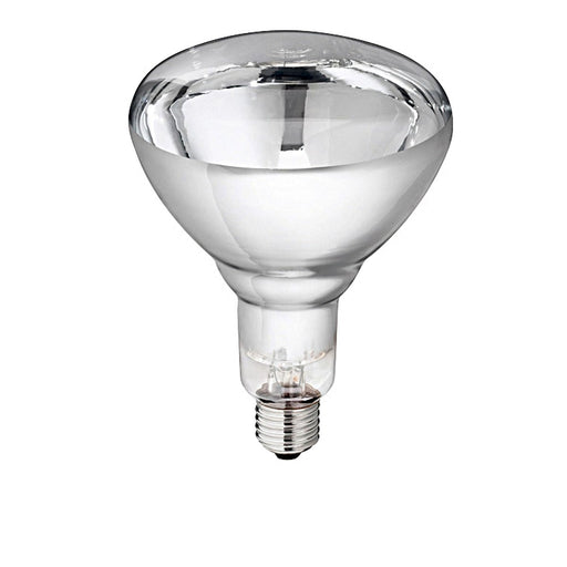 Infra Red 250w Hard Glass Reflector Heat Bulb Infra Red Light Bulbs SPL Lighting - Sparks Warehouse