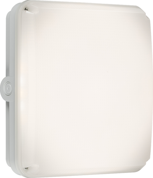 Knightsbridge TNXQCW Square White Casing for TENAX Quad