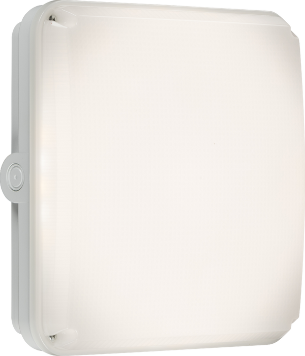 Knightsbridge TNXQCW Square White Casing for TENAX Quad