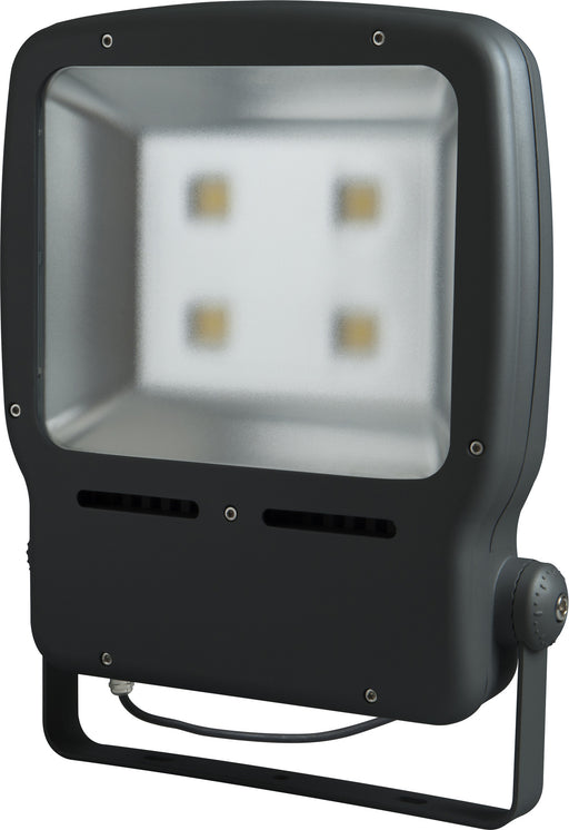 BG LCFL200W Guardian LED Floodlight - BG - sparks-warehouse