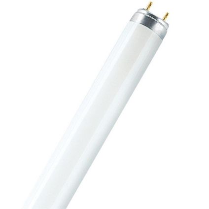 AURORA 430214 ULTIMATE Tube 70000 Hours Life 18w Coolwhite/840 T8 Fluorescent Tubes AURORA - Sparks Warehouse