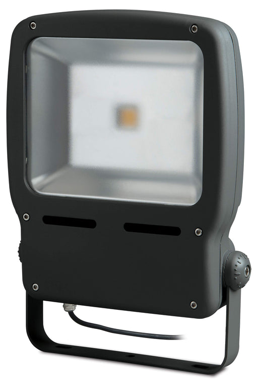 BG LCFL25W Guardian LED Floodlight - BG - sparks-warehouse