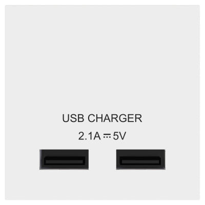 BG EMUSBW Dual Port 2.1A USB White (50 X 50mm) - DISCONTINUED - BG - sparks-warehouse