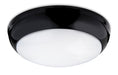 Firstlight 4912BK  - Regis LED Flush Fitting - Firstlight - Sparks Warehouse