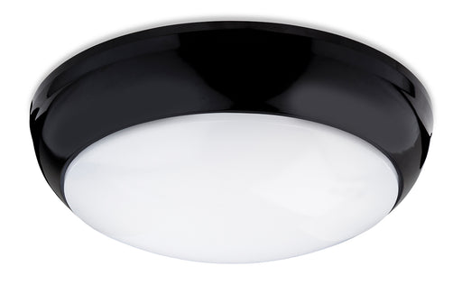 Firstlight 4912BK  - Regis LED Flush Fitting - Firstlight - Sparks Warehouse