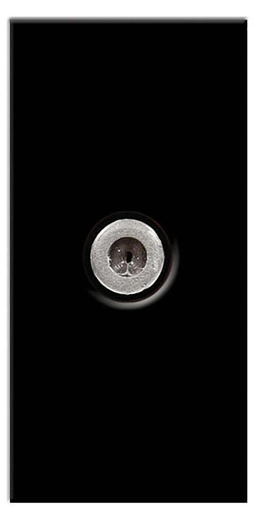 BG EMSATB Screened Satellite Female Black Module (25 X 50mm) - BG - sparks-warehouse