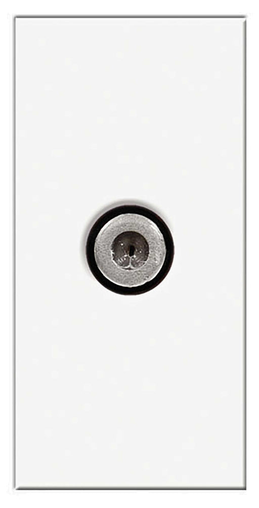 BG EMSATW Screened Satellite Female White Module (25 X 50mm) - BG - sparks-warehouse