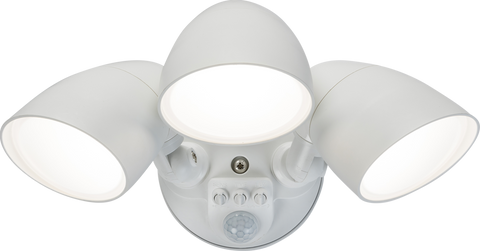 Knightsbridge LED Floods