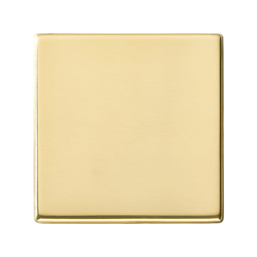 Hamilton 7G21BPS - Hart G2 PB Single Blank Plate