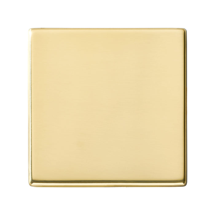 Hamilton 7G21BPS - Hart G2 PB Single Blank Plate