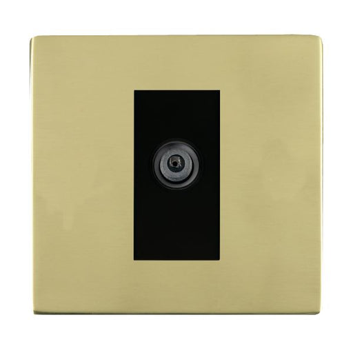 Hamilton 81CDSATB - Sher CFX PB 1g Non-Isolat DAB Sat BL