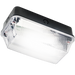 Knightsbridge BH22PB IP65 60W B22 Bulkhead Clear Prismatic Diffuser & Black Plastic Base Outdoor Wall Lights Knightsbridge - Sparks Warehouse