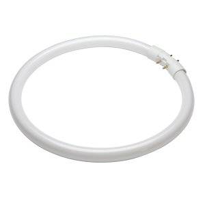 Circular Fluorescent Tube 22w T5 2Gx13 Philips Warmwhite/830 Light Bulb - 22TL5C830 - 230mm - 3000K Fluorescent Tubes Philips - Sparks Warehouse
