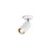 The Tintagel Single Arm LED Contemporary Wall / Ceiling Light Wall Lights Caradok - Sparks Warehouse