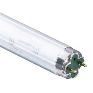 18865  Tube fluorescent Philips Lighting, 18 W, 600mm T8, 6500K
