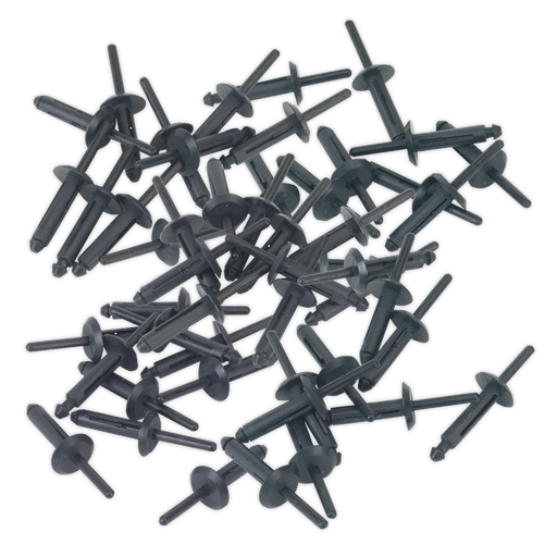 Sealey - PR002 Plastic Rivet Ø6.3 x 25.2mm Pack of 50 Consumables Sealey - Sparks Warehouse