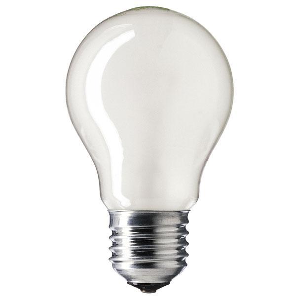 GLS 40W Light Bulb ES / E27 - Pearl - 24V Incandescent Lamps Casell - Sparks Warehouse