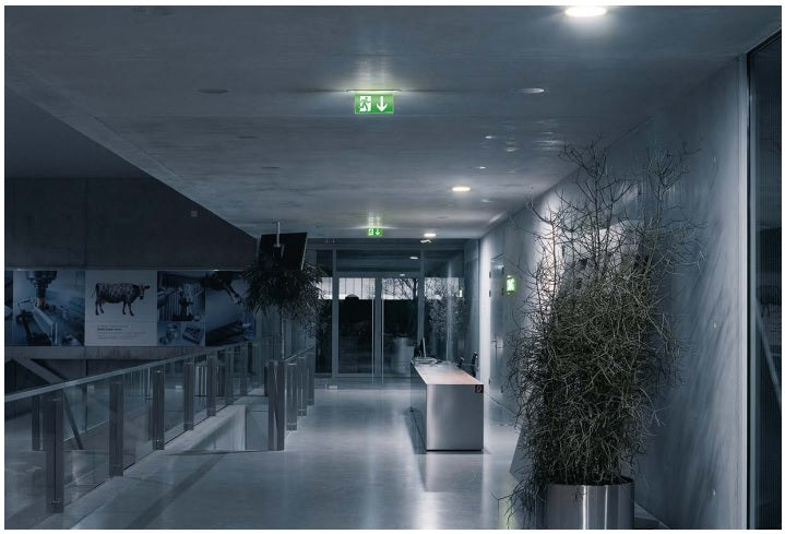 Tridonic 89899861 - EMpowerLED 2W ST SCREW-FIX