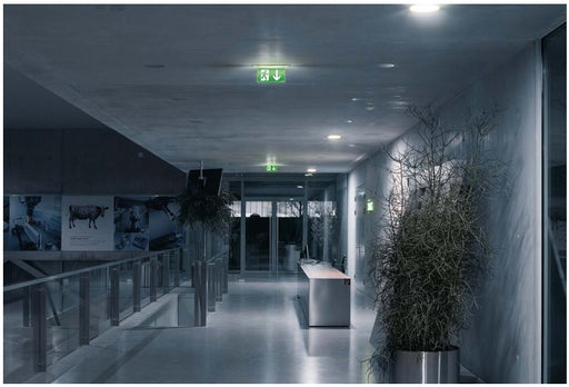 Tridonic 89800119 - EM16C BASIC