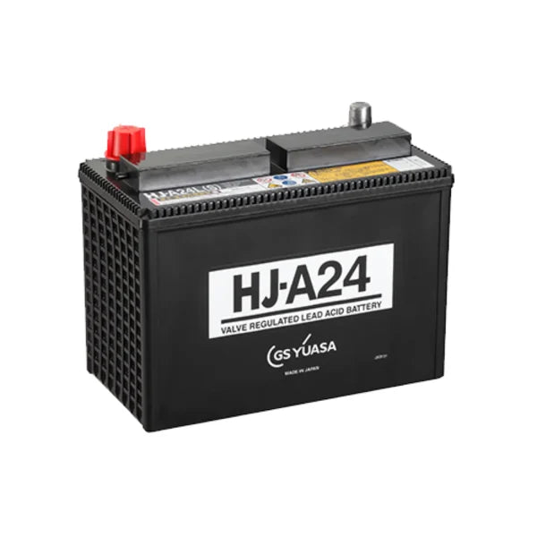 CYCLON - 4V5:0AH (0809-0010) ENERSYS CYCLON PACK 4V 5AH